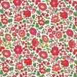 Estampado 14