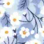 Estampado 19