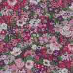 Estampado 22