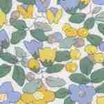 Estampado 26