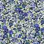 Estampado 5