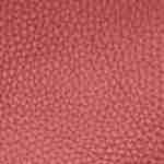 Bolso Ana Rojo
