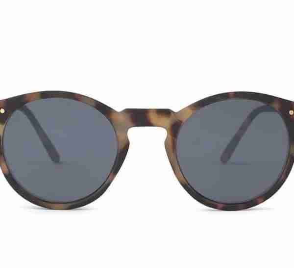 Gafas Sol Charles in town concha mate 1
