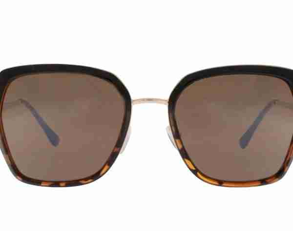 Gafas Olivia Negro Concha 1