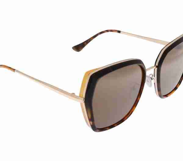 Gafas Olivia Negro Concha 2